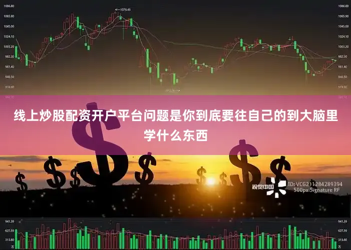线上炒股配资开户平台问题是你到底要往自己的到大脑里学什么东西